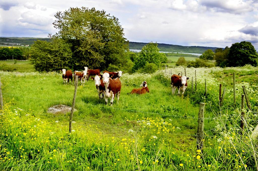 Sommarkul i Svenska kyrkan Vi kommer att hitta på saker såsom pyssel, lekar, utmaningar och annat skoj! Sommarsimskola i simhallen Ta chansen och lär dig simma i sommar!