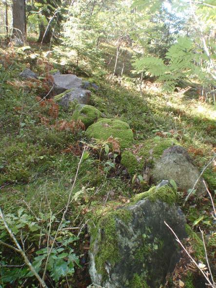 Figur 7. Stenrad A 5. Foto taget mot SSV. Inledningsvis grävdes ett schakt tvärs över Ed 119:2 vilket resulterade i en cirka fyra meter i diameter stor stensättning, A 2.