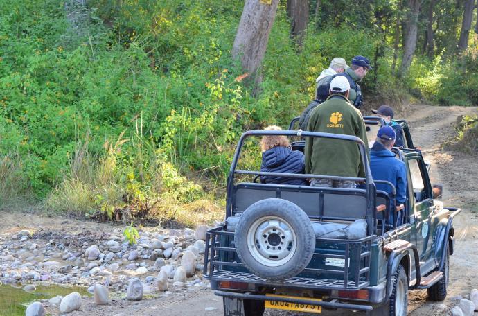 DAG 03. 04 Nov. TIGER CAMP BIJRANI RANGE Den som före frukost tar sig ut runt omgivningen med sin kikare runt får oftast en lyckad start på dagen då exotiska fåglar håller till nere vid floden.