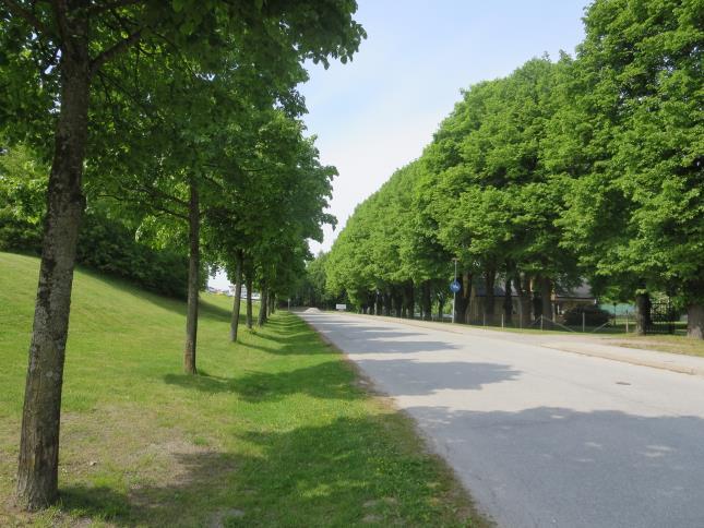 Vid naturvärdesinventeringen (Bilaga 1) och trädinventeringen (Bilaga 3) har spår av bäver (fridlyst enl. 5, Artskyddsförordningen) noterats längs Igelbäcken.