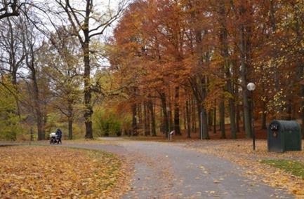 Figur 20. Till vänster: Cykelvägen löper längs med Nationalstadsparkens ytterkant, där Hagaparken ingår.