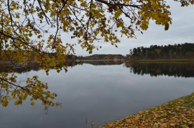 Nationalstadsparken har även höga rekreativa värden och används av många besökare för bland annat promenader,