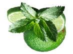 HALLON, JORDGUBB eller persika Rom, lime, råsocker, mynta, soda. Luxury Mojito rom, lime, råsocker, mynta, Mousserande.