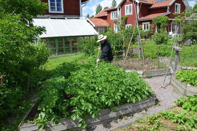 Länsspecifika mervärden och utvecklingsområden har pekats ut vilka alla tillsammans eller var och en för sig kan bidra till en ökad livsmedelsproduktion i Dalarna.