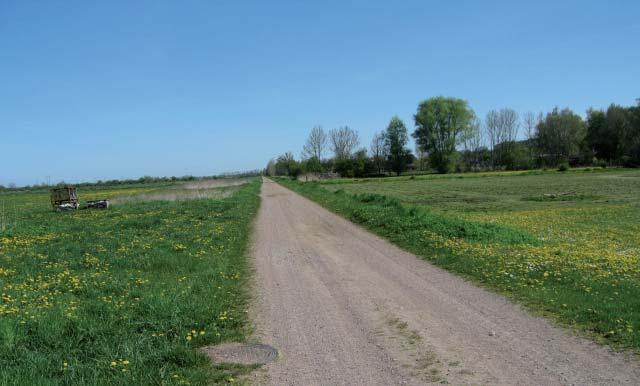 Den gamla järnvägsbanken Gång- och cykeltrafik Kollektivtrafik STÖRNINGAR Cykeltrafik sker dels på Karlevi Bygata men också på den gamla järnvägsbanken väster om planområdet.