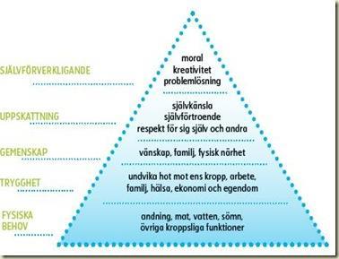 Kring vilka behov möts ledare och