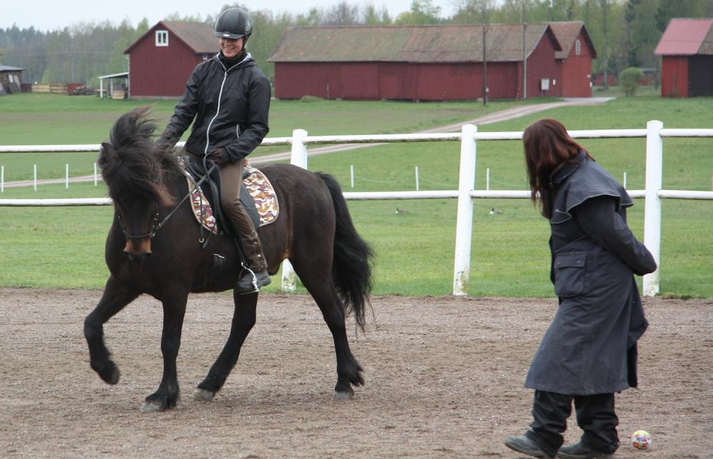 Utbildningssektionen Kurser/utbildningar: Ridledare Ridteori 1 Hippologi 2 Ridlärare 2 Passkurs Lokalklubbsdomarutbildning Takt och gångartskurs 2 Yrkesprov: Hästskötarexamen Unghästprov Tränare 1