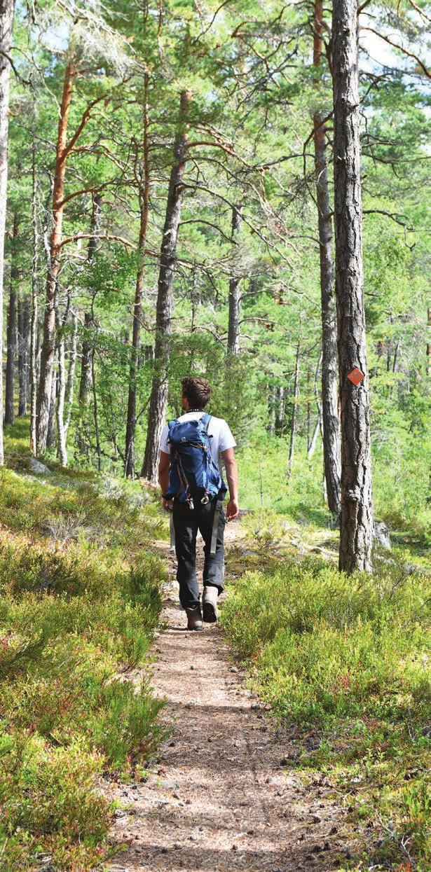 Skogsupplevelser - skogen ska vara tillgänglig för alla Naturupplevelser och friluftsliv i skogen Skogar som lockar till rekreation, friluftsliv, lek och andra aktiviteter bidrar till en stärkt