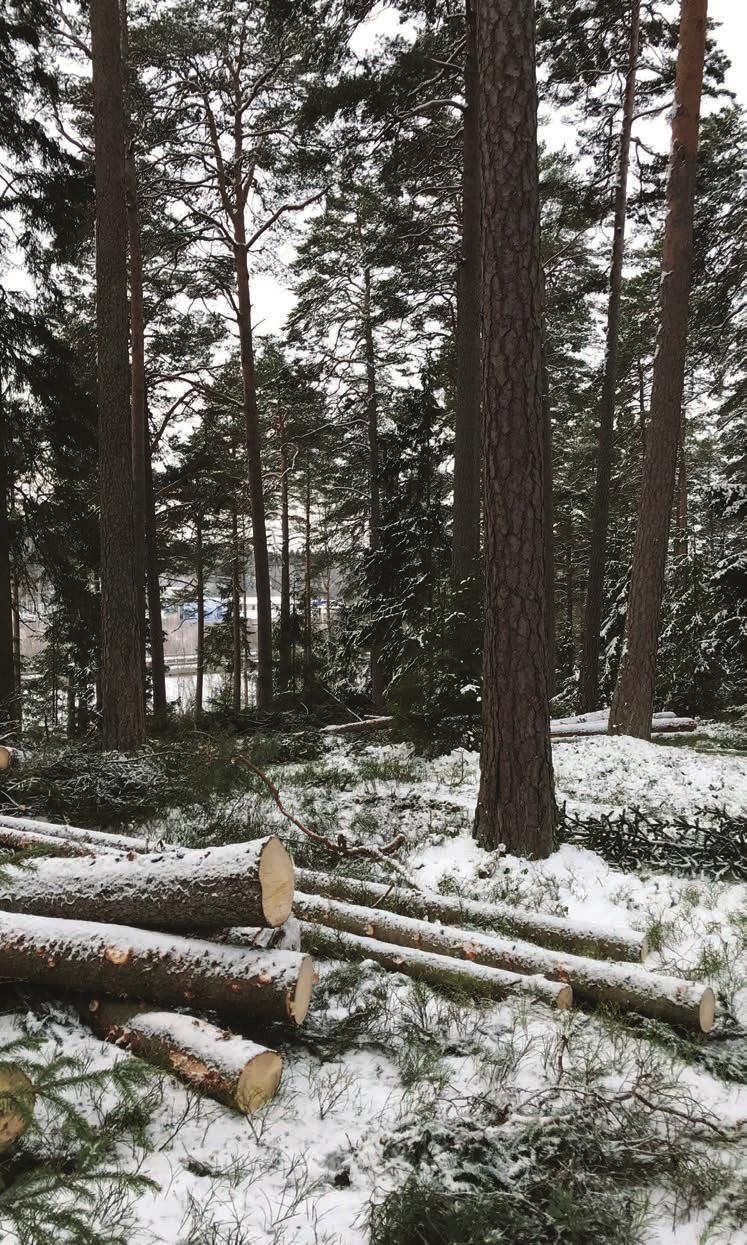 Skötselmetoder genom att virke används som Rekreationshuggning bygg- och konstruktionsmaterial.