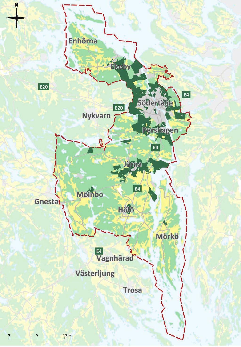 I Södertäljes skogar finns en hög andel träd som är mer än 90 år gamla. Trädslagen som dominerar är tall och gran.