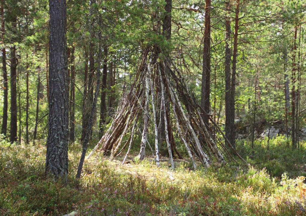 Övergripande mål Kommunens skogar är till för kommunens invånare.