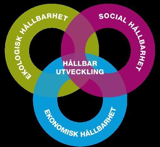 PROGRAM Sida 4(11) Mot en hållbar utveckling Vi lever idag i ett globalt samhälle och saker vi gör här i Åtvidaberg kan få effekter på andra sidan jorden både på gott och ont.