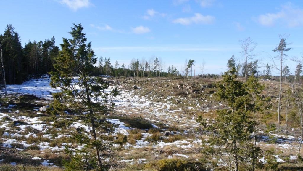 3 (18) Området gränsar i norr till Kvarnån som är del av Gåsvik-Broby markavattningsföretag från början av 1900 talet.
