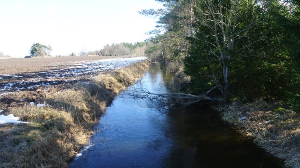 7 (18) Kvarnån som är ett cirka 5 meter brett vattendrag, rinner mot Gåsvikssjön i öster och vidare mot Väddö kanal.