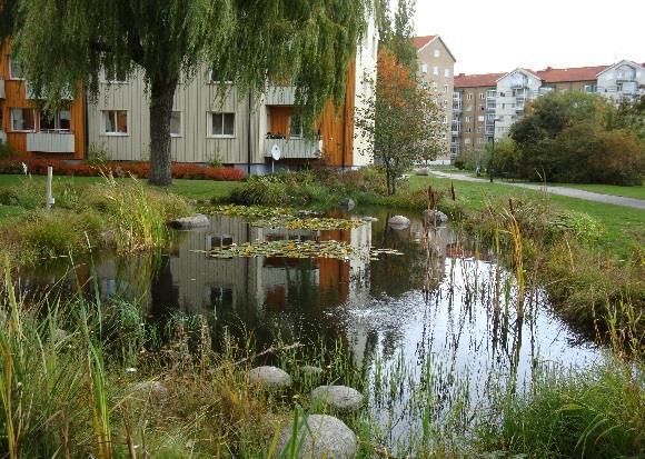 Lokala fördröjnings- och reningsdammar Dammar med permanent vattenyta utgör en effektiv metod för avskiljning av föroreningar i dagvatten.