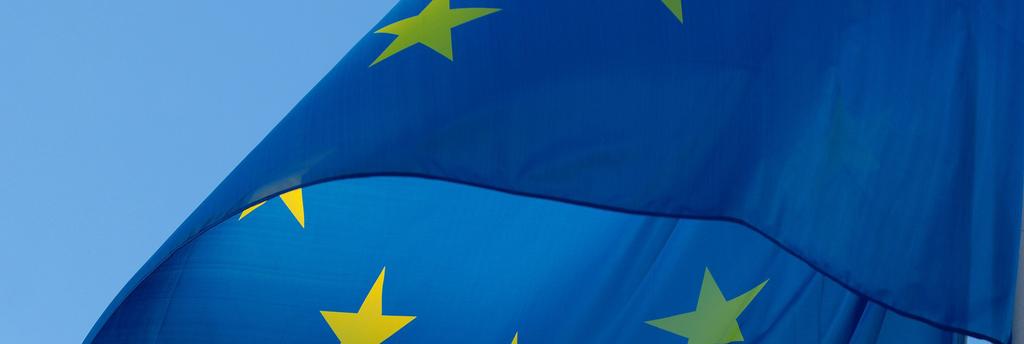 WEBBENKÄT UNDERSÖKNING GENOMFÖRD MELLAN 1 MARS OCH 22 MARS 2019 EU-valkompassen