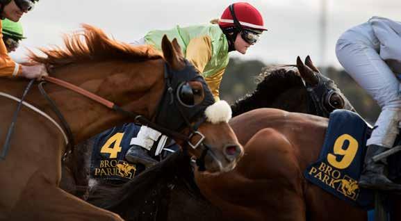 BRO PARK Tävlingarna arrangeras av Svensk Galopp www.svenskgalopp.se e-post info@svenskgalopp.