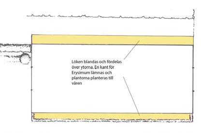 Plats: Rabatterna runt vinhuset Rabatterna: Narcissus Peeping Tom Narcissus Heamoor