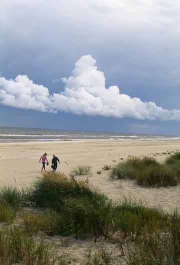 Ale stenar Ystad Foto: Bernard Grilly Dag 2 Ystad Kåseberga Du vandrar ut frånystad via hamnen och vidare utmed strandpromenaden genom Sandskogen.