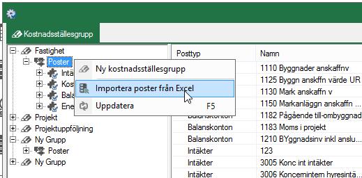 Importen är tillgänglig när man högerklickar på noden Poster i en kostnadsställegrupp. Då visas en dialogruta där man väljer fil för import.