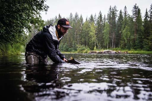 Framtidens laxförvaltning Det är mycket som händer nu.