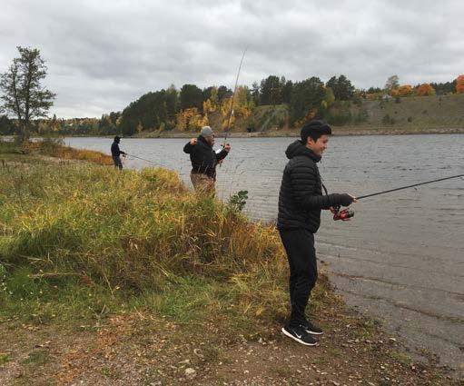 Fiske för Asylsökande Våren och hösten 2018 arrangerade Fjällorna fiskeaktiviteter för asylsökande. Syftet var att minska tristessen för de asylsökande samt visa dem vår vackra svenska natur.