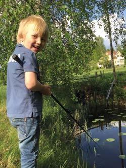 Foto: Adam Johansson Verksamhetsåret 2018 På landets 21 länsstyrelser arbetade totalt ca 65 årsarbetskrafter med fiskefrågor under 2018.