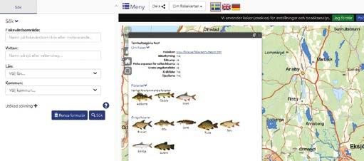 Fiskekartan.se Ett annat länsstyrelsegemensamt IT-projekt är Fiskekartan.se som kommer lanseras inför sommaren 2019.