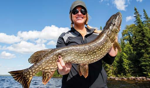 Om SwedenFishing Det finns en europamarknad med över 50 miljoner fiskeintresserade. I Sverige fritidsfiskar ca 2 miljoner människor årligen och de spenderar ca 6 miljarder kr på sitt fiske.