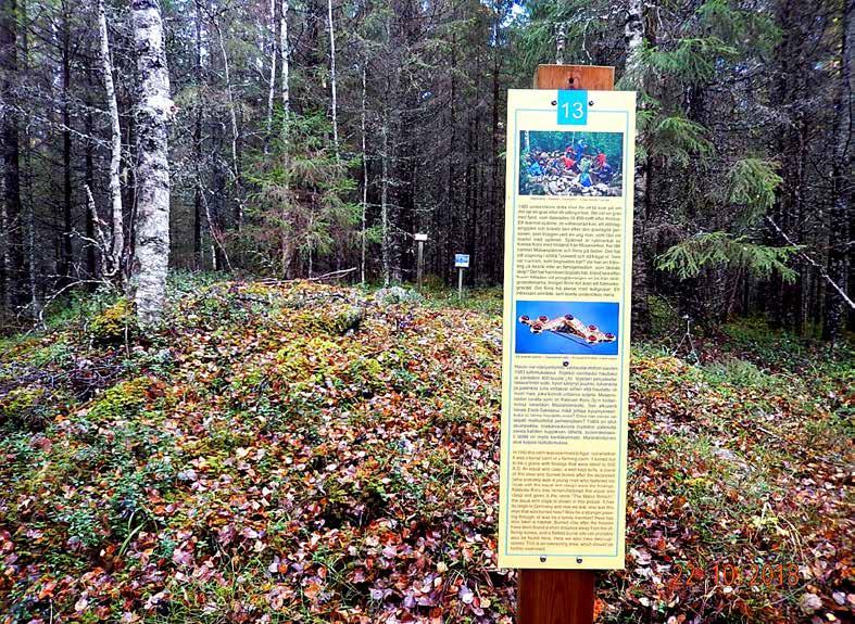 Malax museiförening r.f Längs Järnåldersleden finns 14 trespråkiga skyltar. Vid järn åldersgraven ovan har ett spänne hittats vid utgrävning 1983. Spännet har nytillverkats under namnet Malaxspännet.