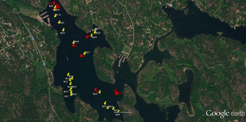 8 Bottenvideofilmning har genomförts den 1 juni 2016 i fjärdens centrala delar på 4 olika djupintervall: 12-13, 15-16, 16-18 och 19-21 m. 3.