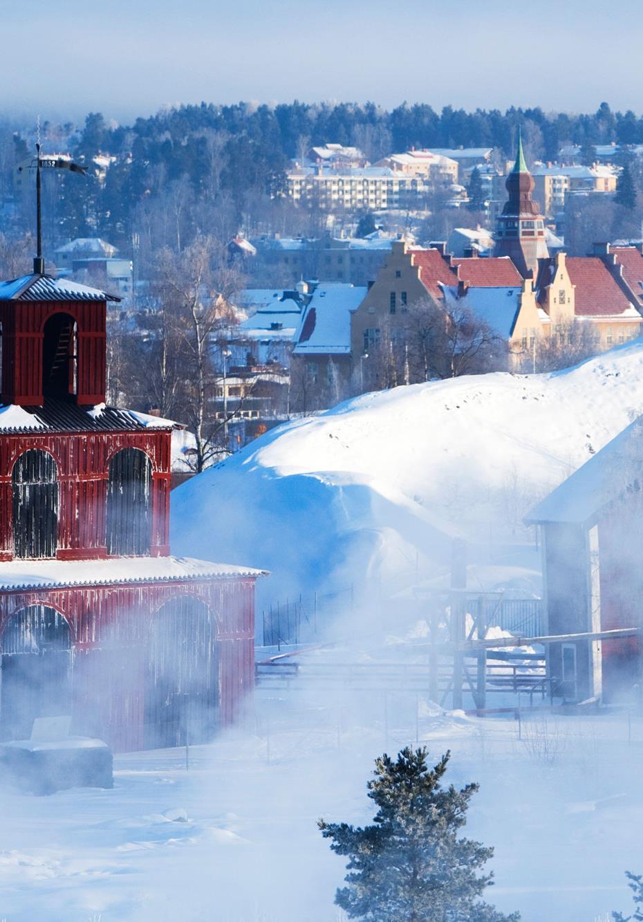 SBA är ett geografiskt stort område med kommuner av olika karaktär och funktion Inomregionala skillnader finns i t ex lönesummautveckling, utbildningsnivå SBA-regionen hålls ihop av: 1)