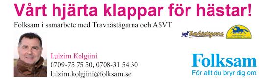 Efter ett långt tävlingsuppehåll gör han nu comeack och trots att det kan föreligga viss ringrost så lir han nog svår att komma till tals med i V-inledning.