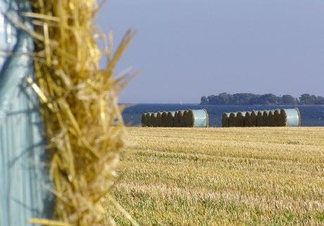 land hybridhöstkornets fördelar kan nämnas: kraftigt rotsystem, utmärkt vinterhärdighet, tidig skörd i bra väder, mycket hög kärnskörd, stor halmskörd av god kvalitet, bra möjligheter till tidig