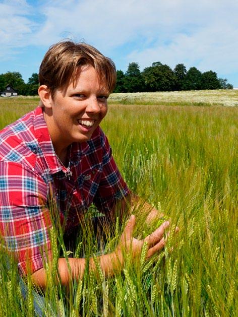 örbättrad struktur i marken evara kvävet i marken istället för att det läcker ut i våra vattendrag ång- och mellangrödor bevara kvävet i fält och höj skörden i huvudgrödan Konkurrera med ogräsen Ökad