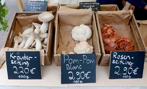 Odlad svamp Vid ett besök i våras i den gamla staden Celle i Tyskland hittade vi följande odlade svampar till salu på marknaden; Kräuterseitling Pleurotus eryngii och på svenska, kungsmussling.