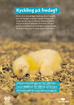 På så vis hjälps djuren som finns här och nu att få en mindre dålig livssituationen. Arbetet för kycklingarna pågår med full kraft runt om i hela Europa.