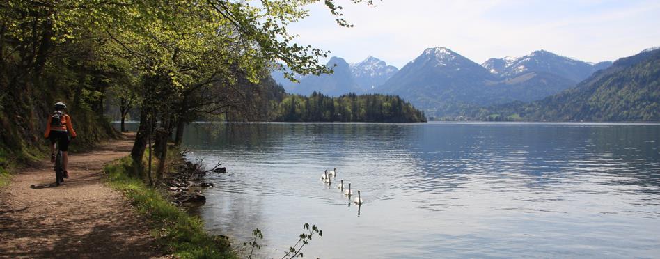 Via Maria, Salzburg St Wolfgang, 4 nätter 1(6) Vandra i Österrike Via Maria, 4 nätter Salzburg St Wolfgang, 3 vandringsdagar Via Maria är en pilgrimsled som går mellan Altöttingen i Tyskland och