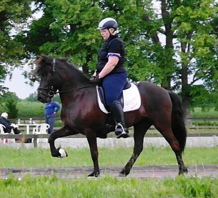 Hur rider man Gæðingakeppni Oftast rider man en och en i uttagningarna, tävlingsledningen kan bestämma att man har upp till 3 ryttare åt gången.