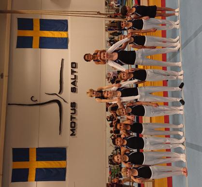 Manlig Artistisk Gymnastik Manlig AG i Skåne består endast av en förening, GK Motus-Salto i Malmö. Totalt är det ca 60 gymnaster.