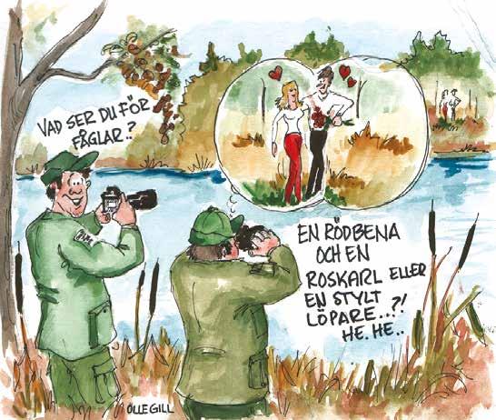 Nordanstigarn nr 321 Du har chans att vinna en Trisslott! Skicka in din lösning snarast till:.