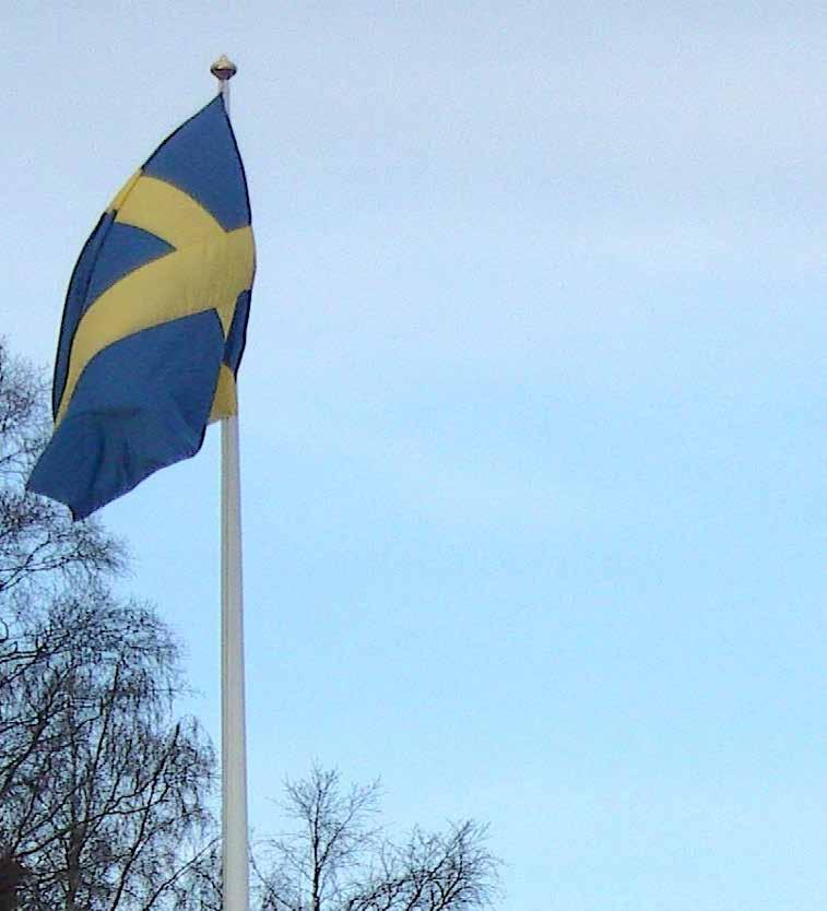 Sveriges Nationaldag den 6 juni