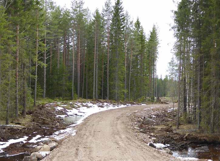Projekt Åtkomstvägar Nyckeln till ett lönsamt skogsbruk Ett bra vägnät tillhör nycklarna för ett lönsamt skogsbruk och ger dig som skogsägare lättare att kunna göra tillsyn och olika åtgärder i din