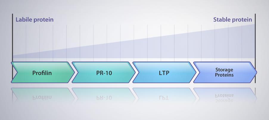 Protein Grupper: Riskbedömning Risk för reaktion Immunocap allergena komponenter för nötter Nöttyp Profilin PR-10 LTP Lagringsproteiner Jordnöt profilin Arah8 Arah 9 Arah1,2,3 Hasselnöt