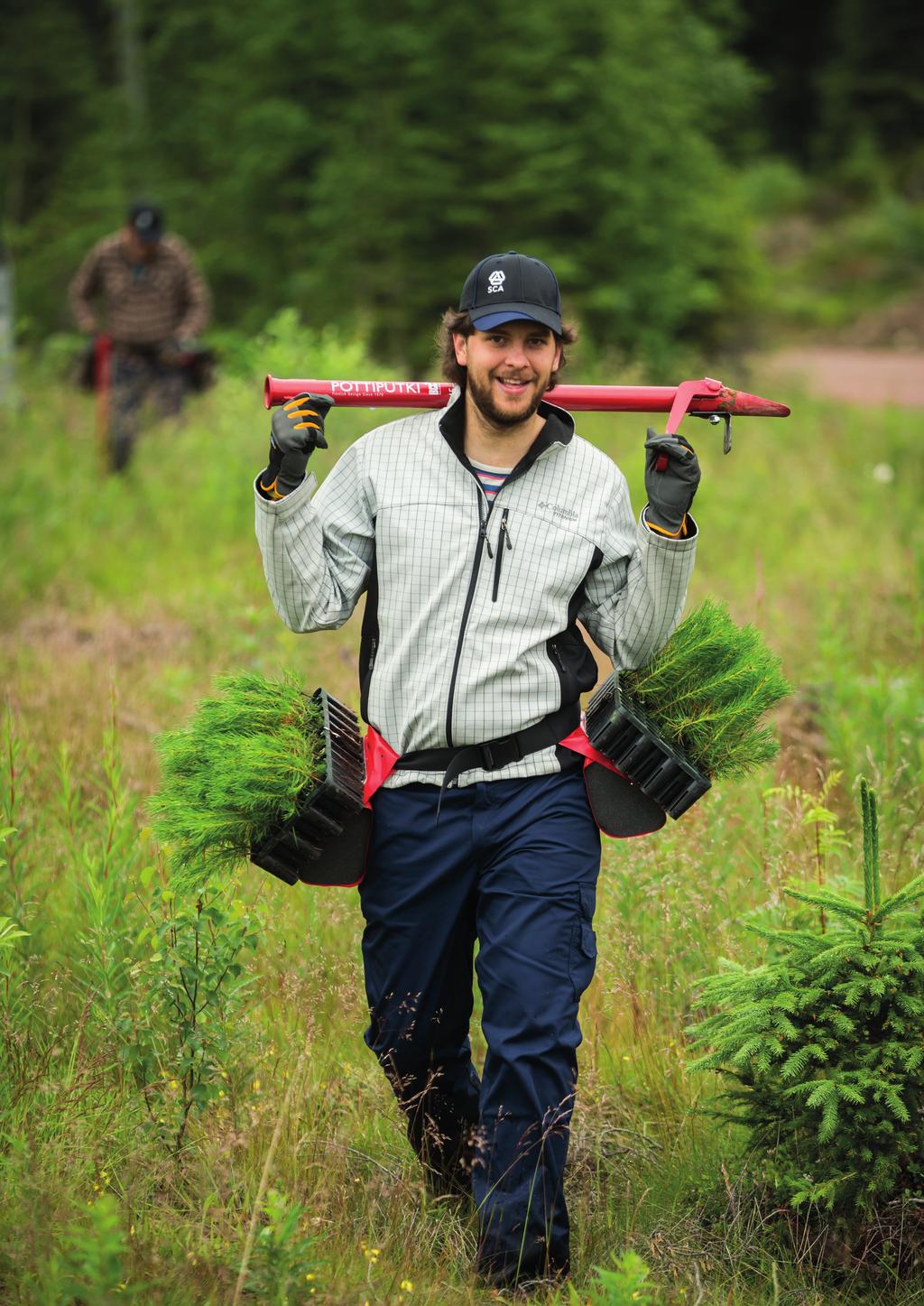 Bra plantor för din