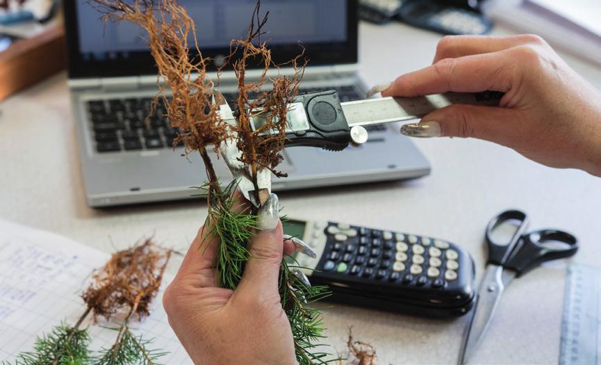 God omvårdnad Vi har full kontroll på vilka plantor som är