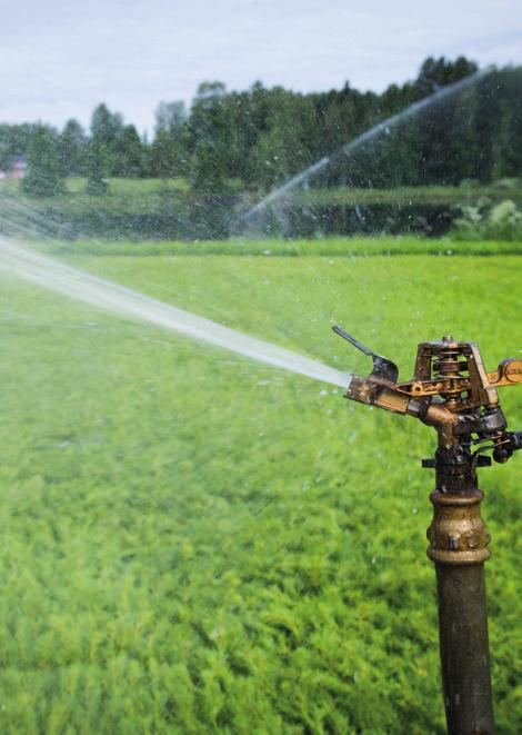 starttidpunkt för när plantorna började gro i växthus. 6.