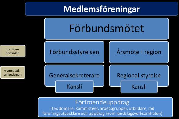 Bilden beskriver Gymnastikförbundets organisation Bilden beskriver sambandet mellan de olika funktionerna inom Gymnastikförbundet.