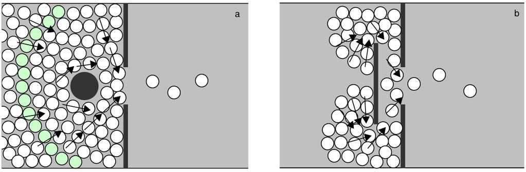Figur 2 nedan visar hur en ögonblicksbild från en simulering av Frank & Dorso (2011) har sett ut.