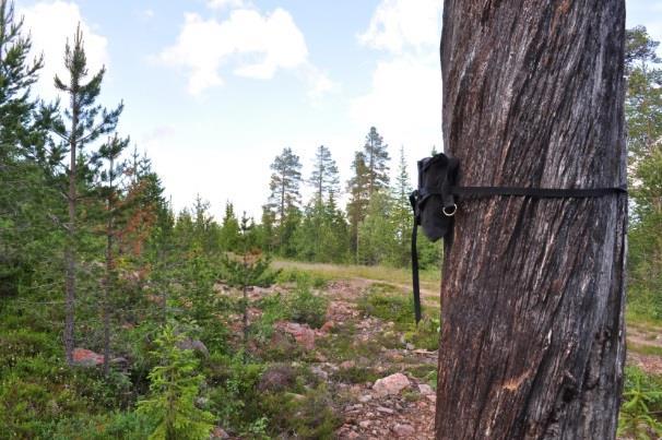 projektområdets närhet. Under inventeringen användes tio autoboxar per natt.